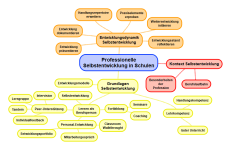 Professionelle Selbstentwicklung in Schulen: Überblick